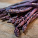 Purple Asparagus