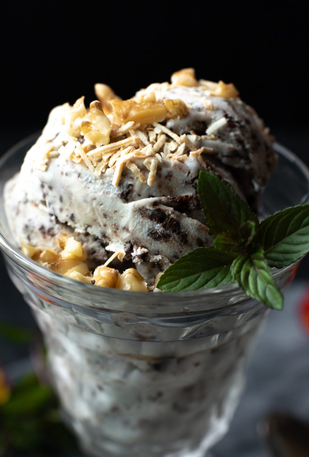 Coconut Mint Ice Cream